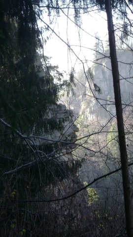 DSC09464-1