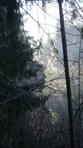 DSC09465-1