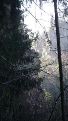 DSC09466-1