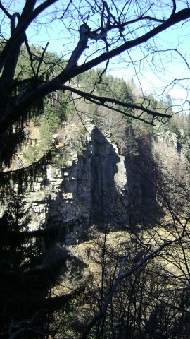 DSC09482-1