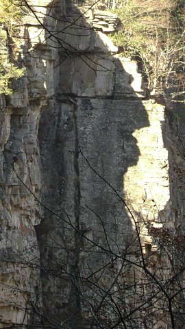 DSC09485-1