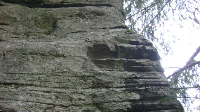 DSC09496-1