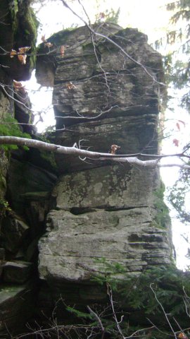 DSC09498-1