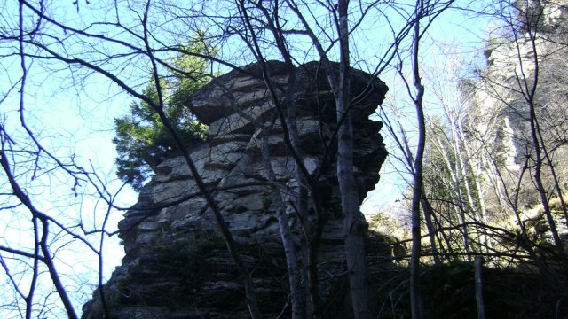 DSC09506-1