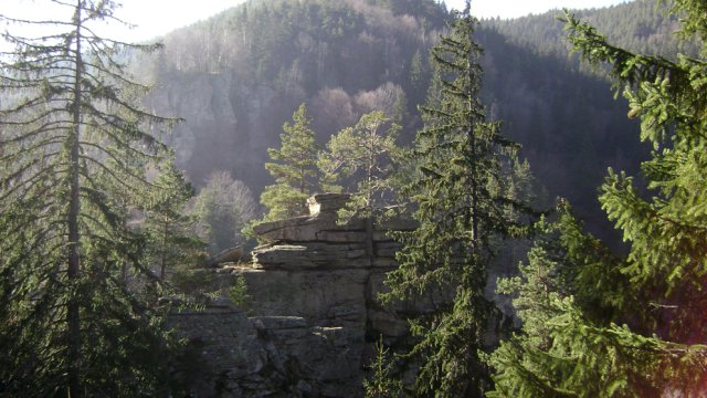 DSC09518-1