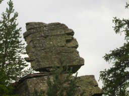 DSC09246-1