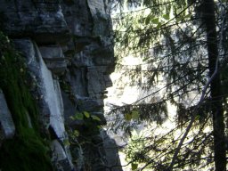 DSC09438-1