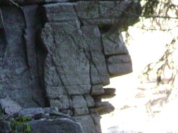 DSC09440-1