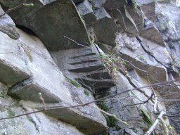 DSC09447-1