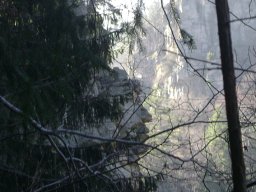 DSC09464-1