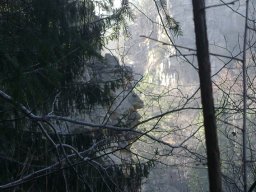 DSC09465-1
