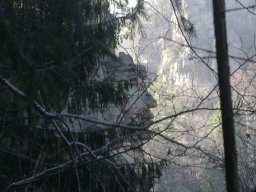 DSC09466-1