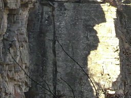 DSC09485-1