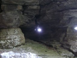 DSC09494-1
