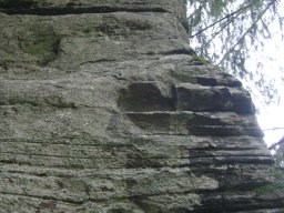 DSC09496-1