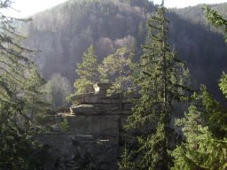 DSC09518-1