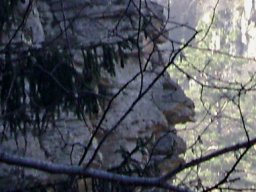 Великанът