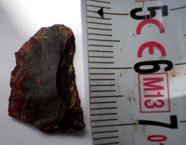 P1130066