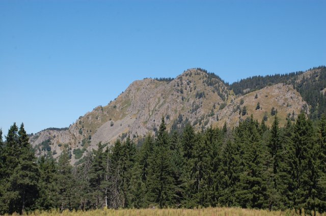 DSC_7243-1