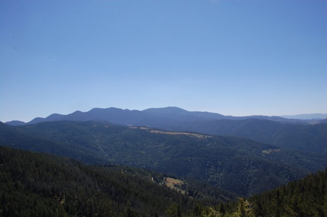 DSC_7258-1