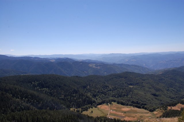 DSC_7296-1
