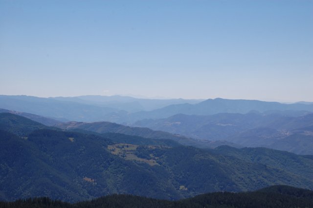 DSC_7314-1~0