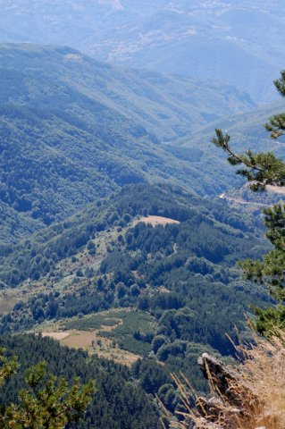 DSC_7325-1