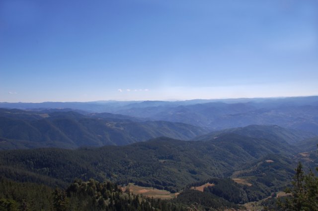 DSC_7342-1