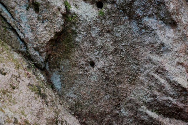 DSC_8598-1