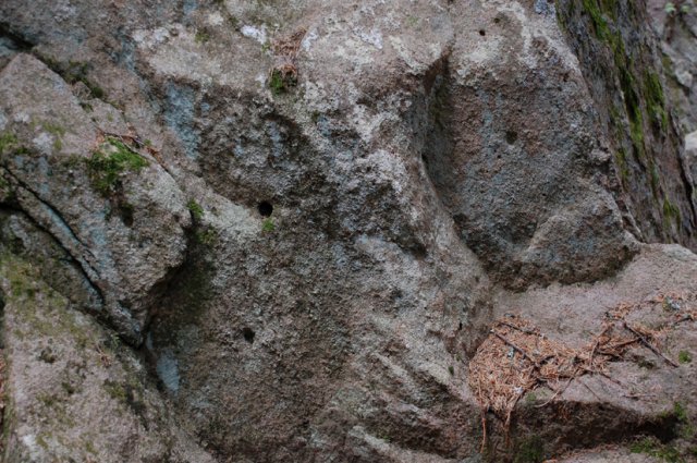 DSC_8600-1