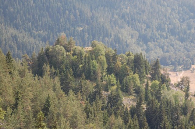 DSC_8617-1