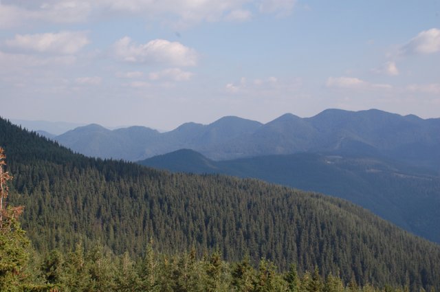 DSC_8622-1
