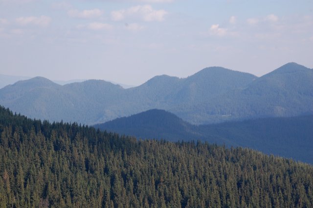 DSC_8623-1
