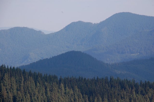 DSC_8625-1