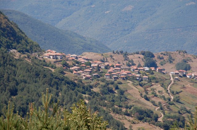 DSC_8701-1