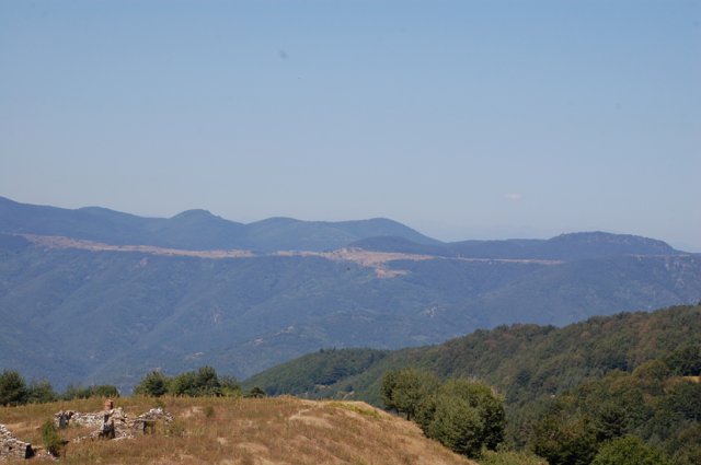DSC_8704-1
