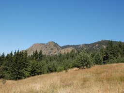 DSC_7235-1