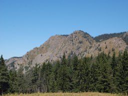 DSC_7243-1