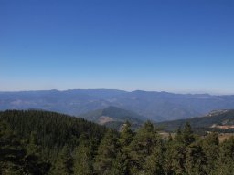 DSC_7253-1