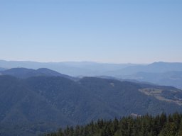 DSC_7256-1