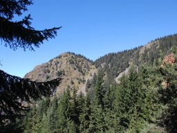 DSC_7293-1