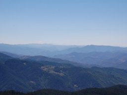 DSC_7314-1~0