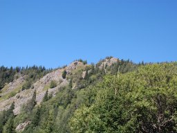 DSC_7326-1