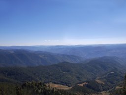 DSC_7342-1