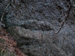 DSC_8606-1