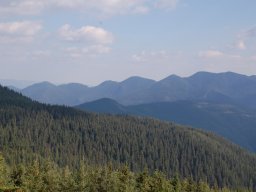 DSC_8622-1