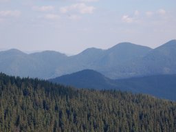 DSC_8623-1