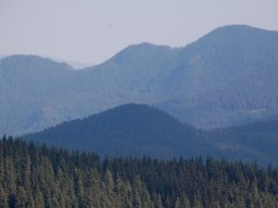 DSC_8625-1