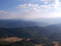 DSC_8646-1