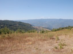 DSC_8698-1